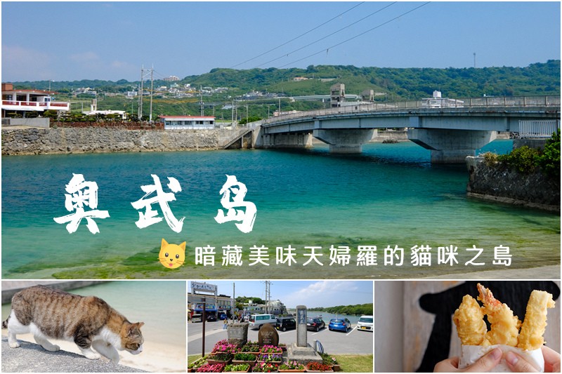 奧武島貓咪交通美食攻略 奧武島貓咪交通美食攻略
