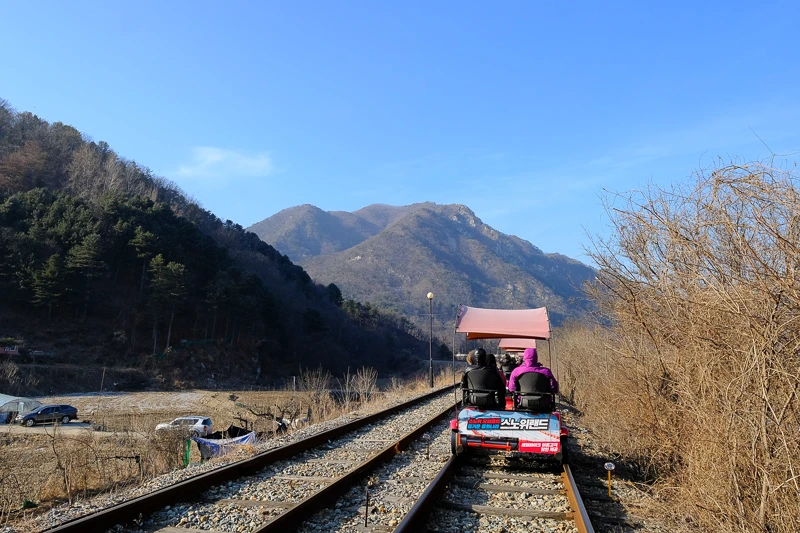 【2025南怡島一日遊】冬季戀歌場景！滑索預約、必吃美食＆門票交通全攻略