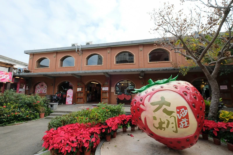 【苗栗】大湖酒莊＆草莓文化館：冰淇淋泡芙必買！免門票採草莓吃