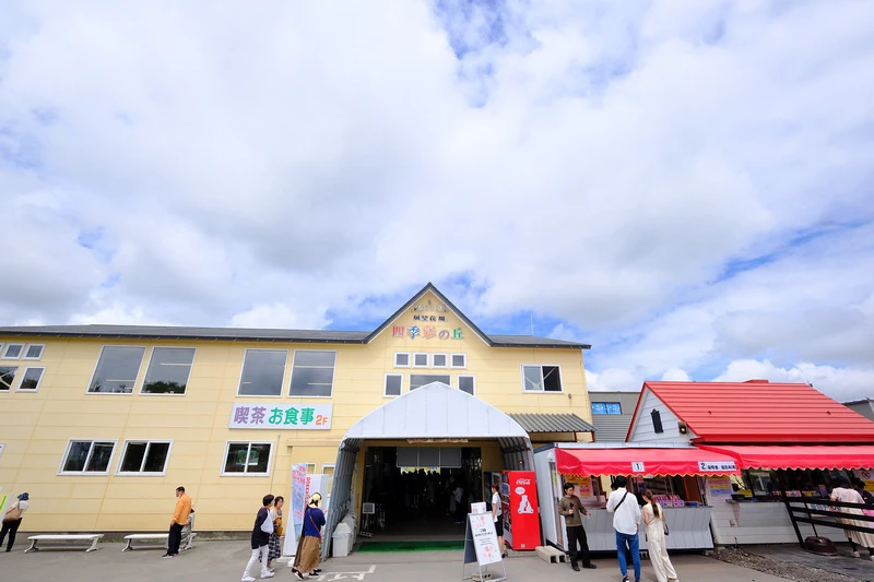 【北海道】四季彩之丘：彩虹般的花田絕色美景！美瑛必去景點超驚