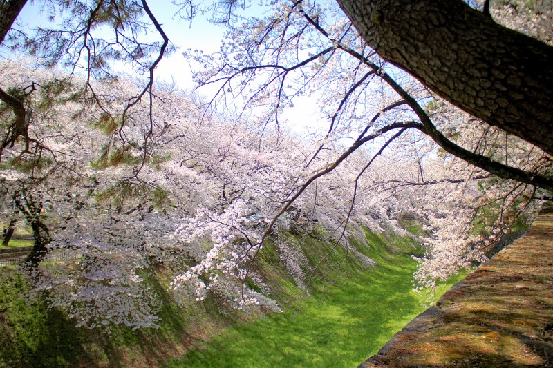 【2025名古屋景點】17個超好玩名古屋必去景點！名古屋自由行這樣玩就對了