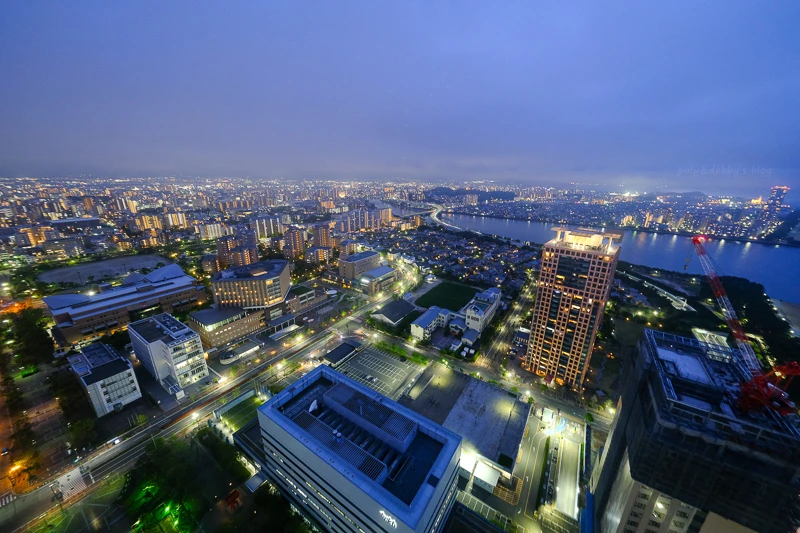 【福岡塔攻略】夜景100選認證！5大必看重點、門票交通＆附近景點彙整