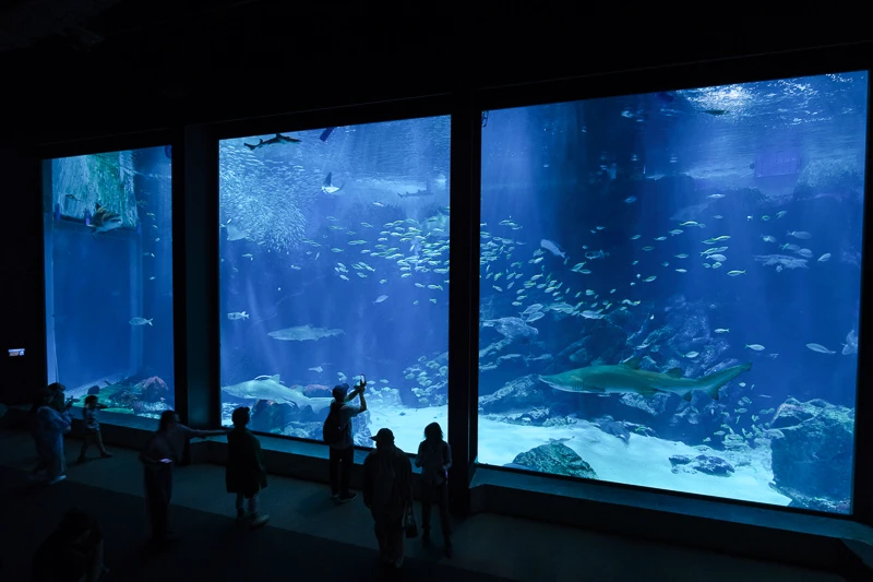 【福岡】海洋世界海之中道：九州最大水族館！必看表演＆門票交通全攻略