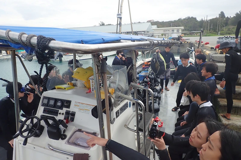 【沖繩浮潛潛水推薦】青之洞窟：海水清澈魚群超多，費用不貴兒童