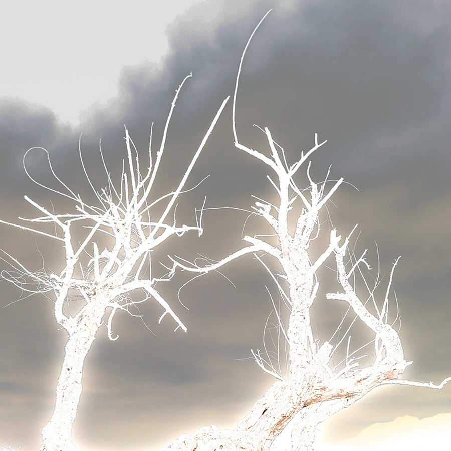 第二届泉州1347 拷贝.jpg