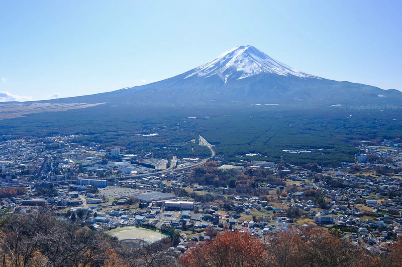 【天上山公園】必搭河口湖纜車！制高點眺望富士山全景＆超酷景觀