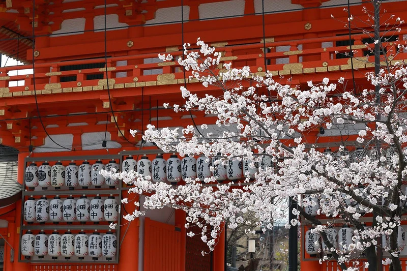 【京都】八坂神社：總本社地位非凡！祇園祭舉辦地＆結緣變美聖地