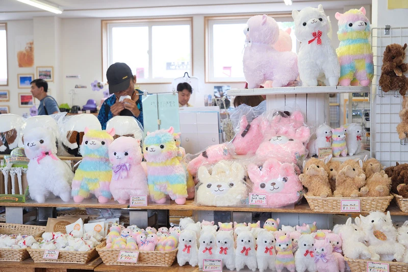 【北海道】四季彩之丘：彩虹般的花田絕色美景！美瑛必去景點超驚