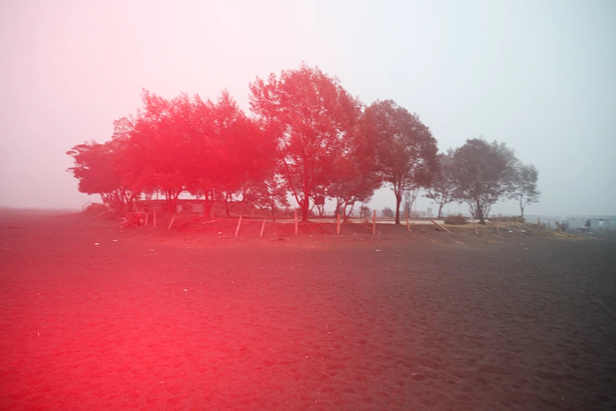 20241017_1729140848721197.jpg 23.《留在人间祈祷》系列.jpg