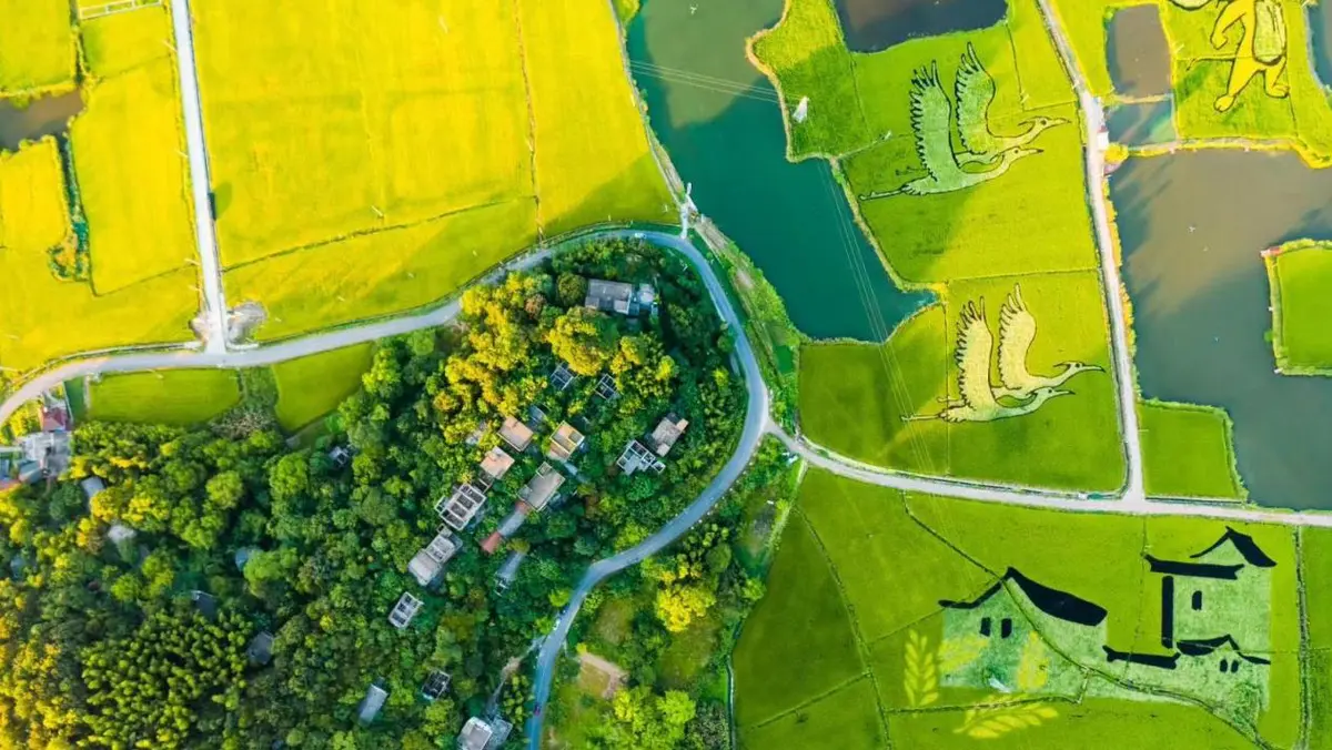 20230302_1677746077930737.jpg 图片4.jpg