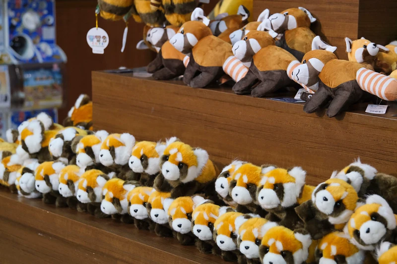 【沖繩】名護自然動植物公園：零距離接觸動物！鐵道火車和飛禽表