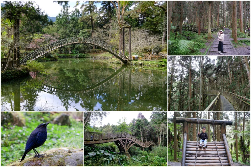 【南投景點推薦】2025南投一日遊這樣玩！最夯南投旅遊秘境景點全攻略
