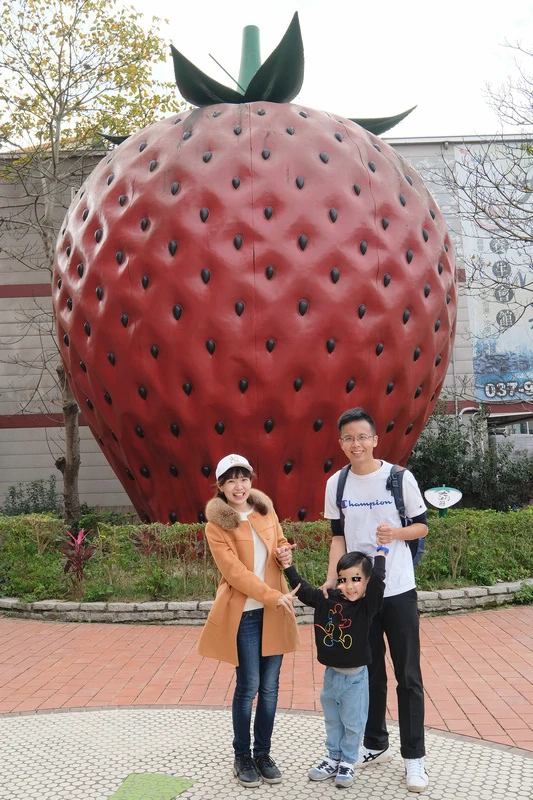 【苗栗】大湖酒莊＆草莓文化館：冰淇淋泡芙必買！免門票採草莓吃