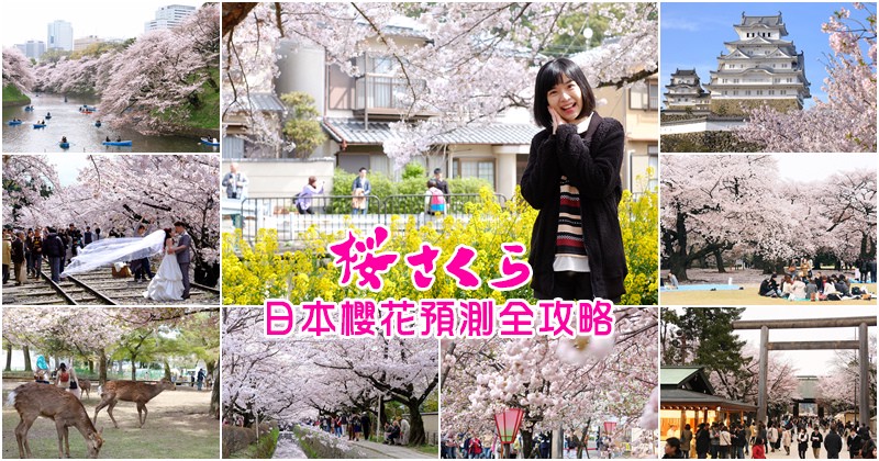 日本櫻花預測 日本櫻花預測