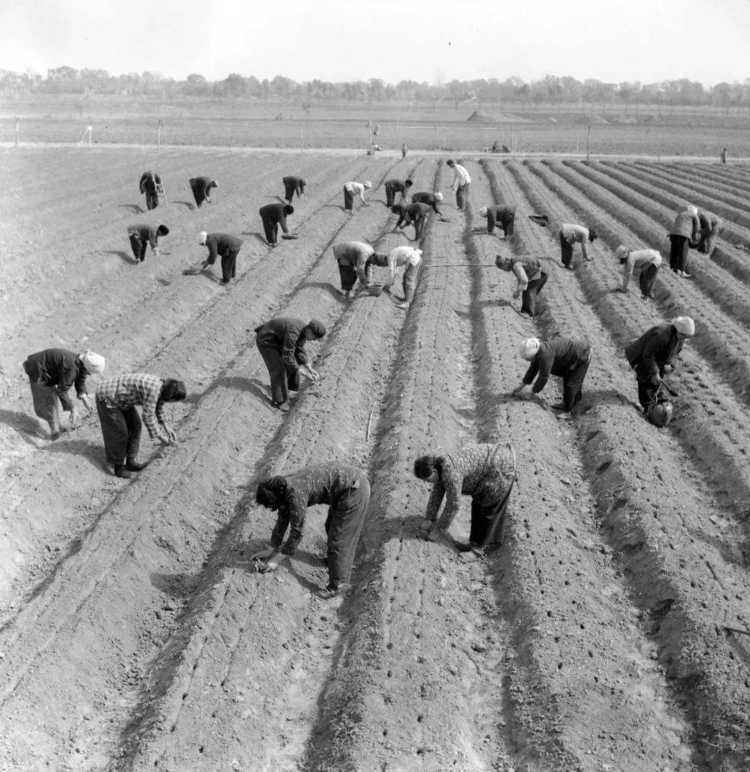 作为新中国第一代女摄影师15 拷贝.jpg