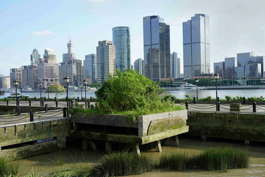 第二届泉州1172 拷贝.jpg