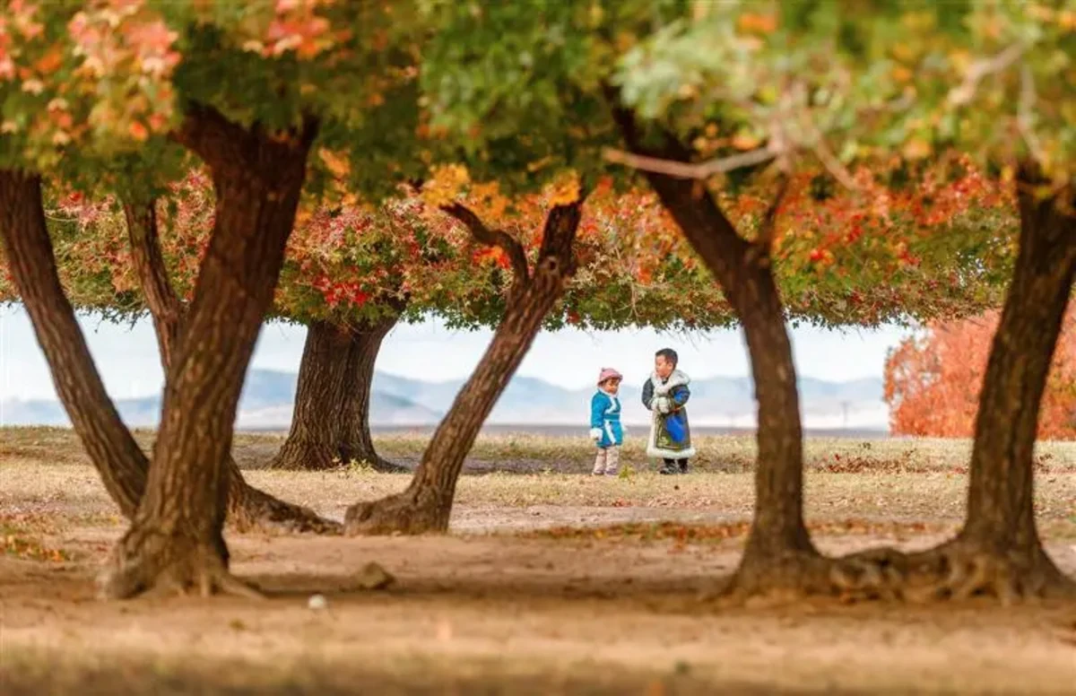 20241212_1733966315339608.jpg 12月的北京天清气朗1622 拷贝.jpg