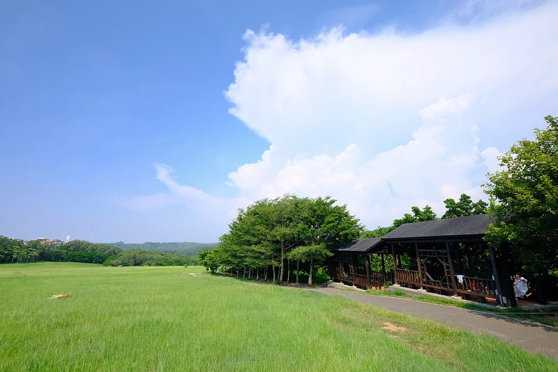 【新竹】青青草原：54公尺長溜滑梯、五大草原、健行步道，免門