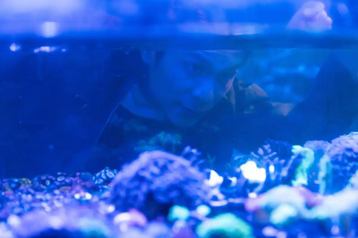 Spey Slim Waxed 油布夾克、白色印花棉質上衣 by Barbour