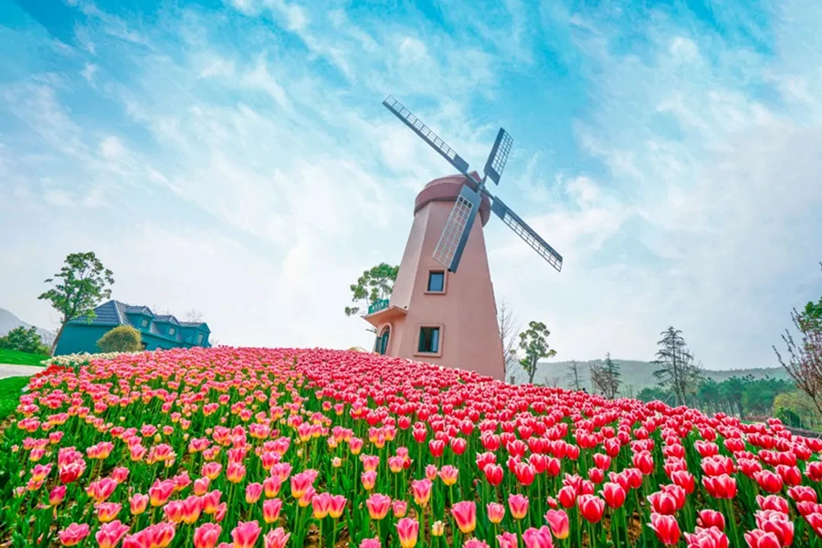 20240920_1726814563717291.jpg 金秋九月2650 拷贝.jpg