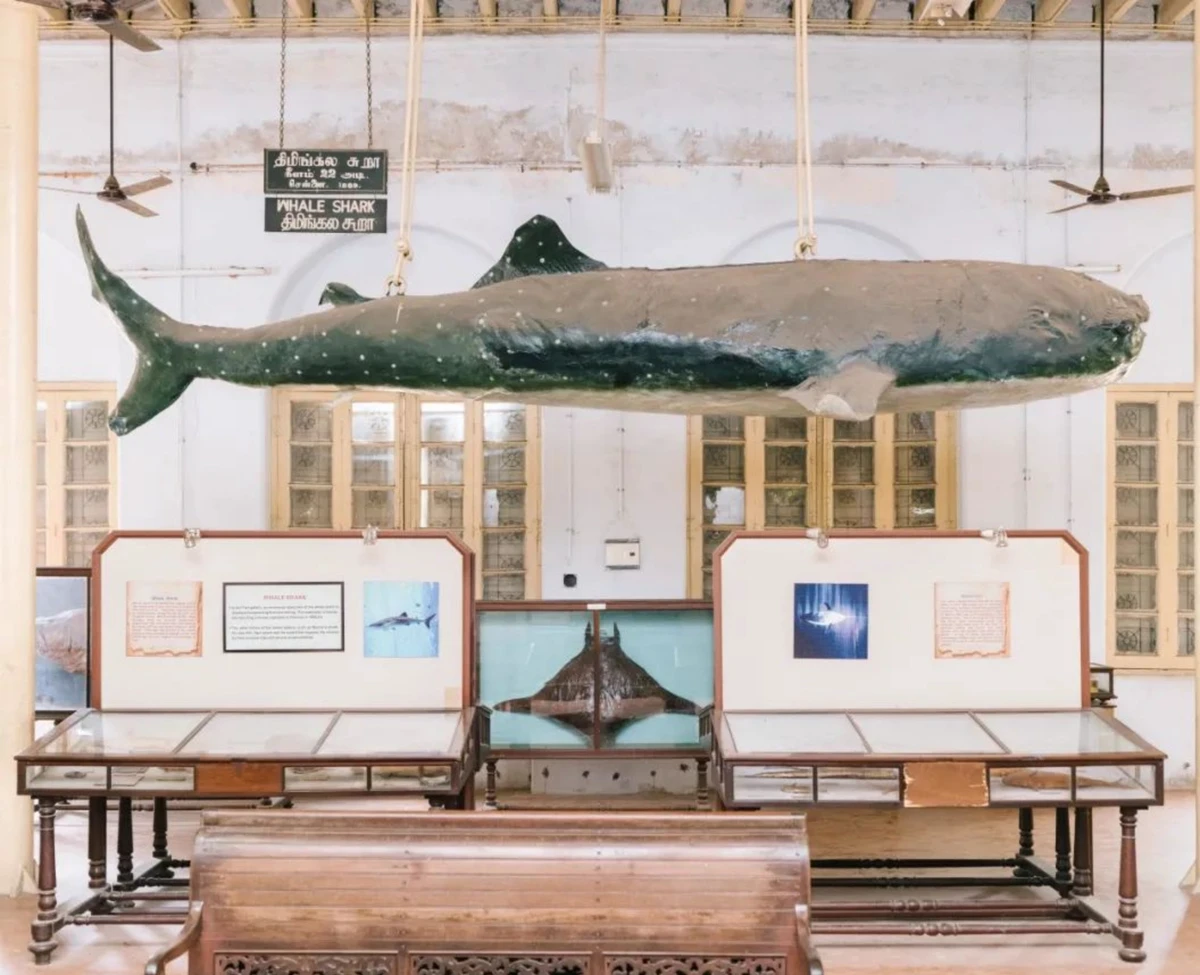 20231031_1698740417585151.jpg 10月30日3892 拷贝.jpg