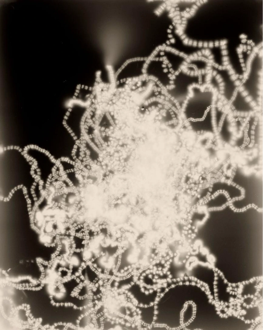 [中英] 新闻稿_2025 集美·阿尔勒国际摄影季 11205 拷贝.jpg