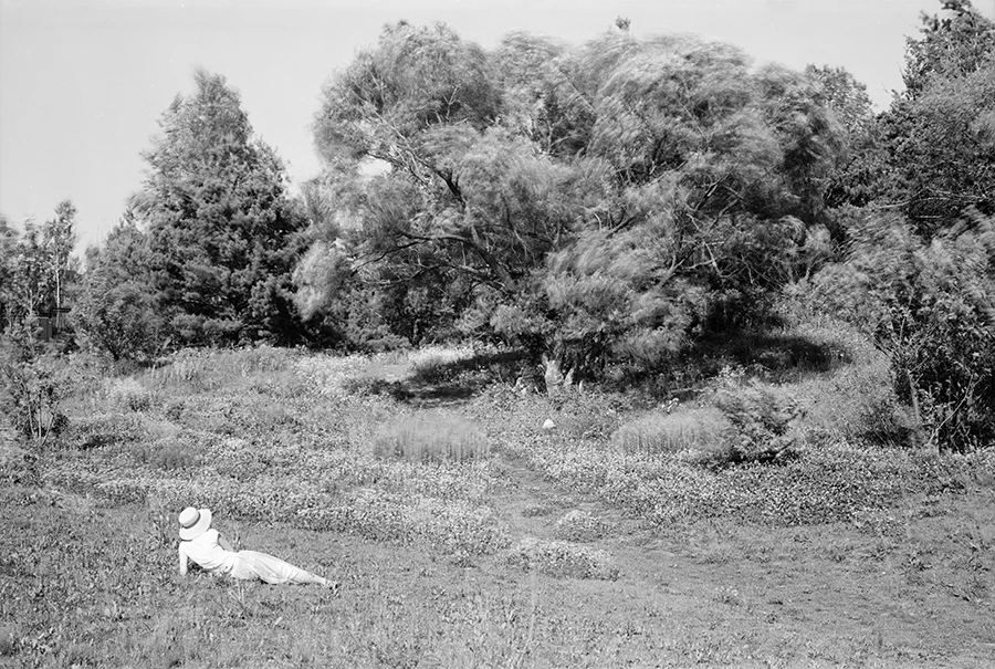 weilai33 2015 长春.jpg