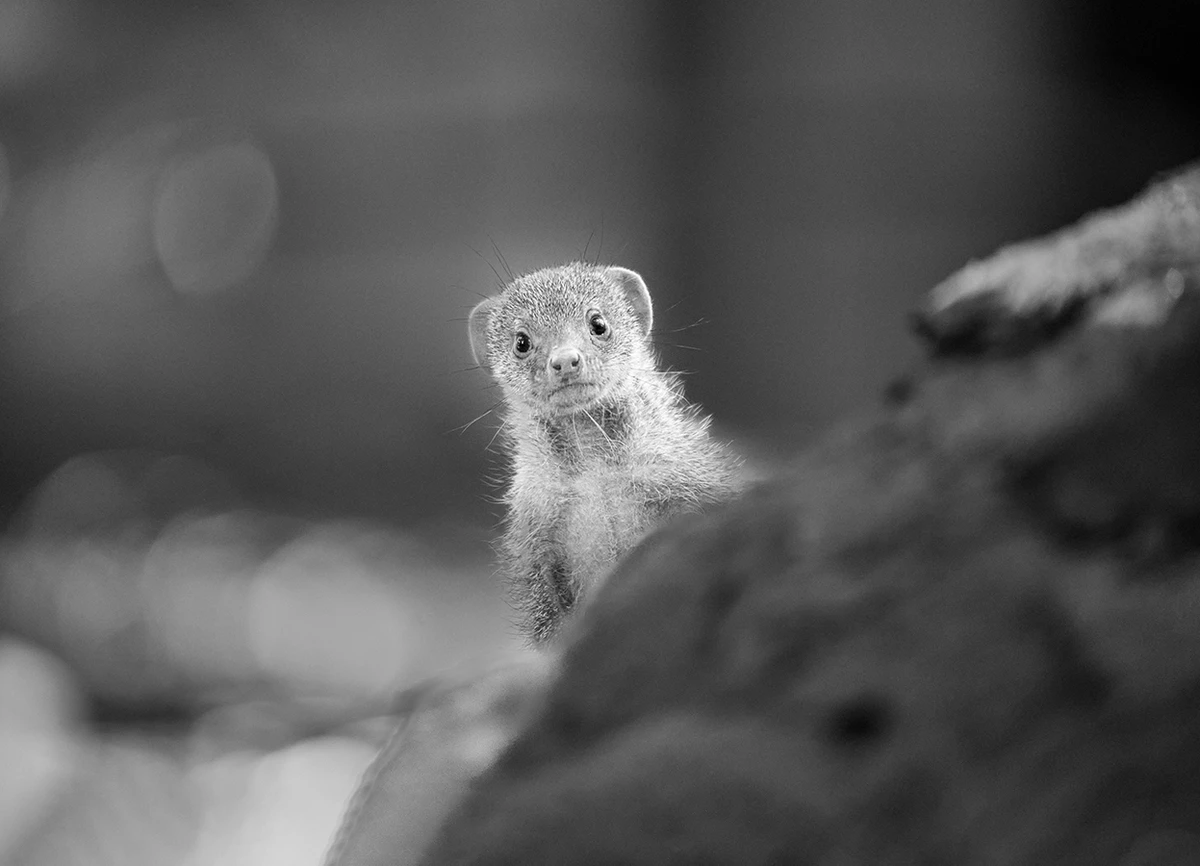 20250508_1746687346857297.jpg 微信图片_20250508144718.jpg