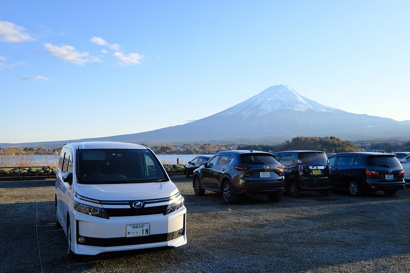【河口湖】大石公園：巨無霸富士山視野美翻天！薰衣草、波波草花