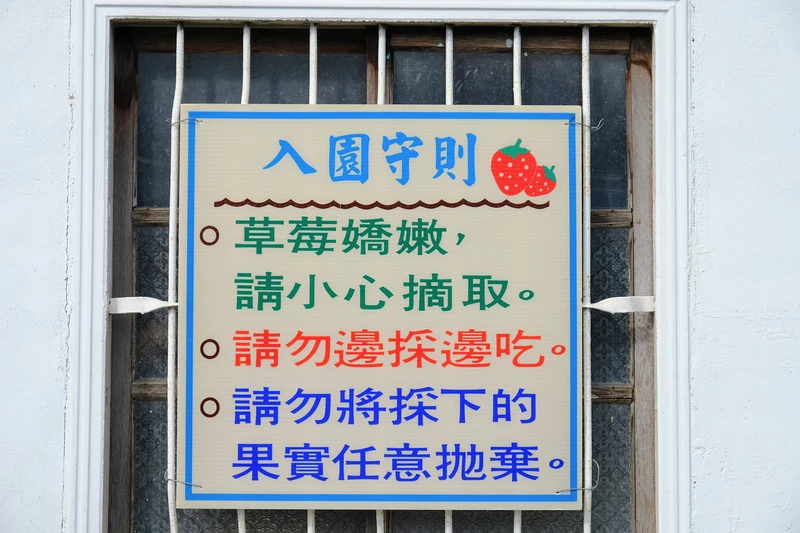 【2024苗栗大湖草莓季推薦】7家超人氣大湖採草莓草莓園農場
