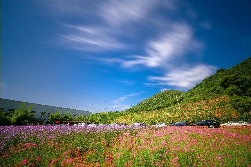 20230302_1677746215843392.jpg 图片6.jpg