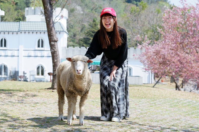 【清境農場一日遊】清境景點地圖：青青草原、綿羊秀、天空步道＆