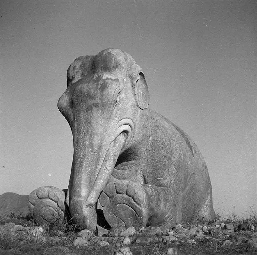 摘要5132 拷贝.jpg