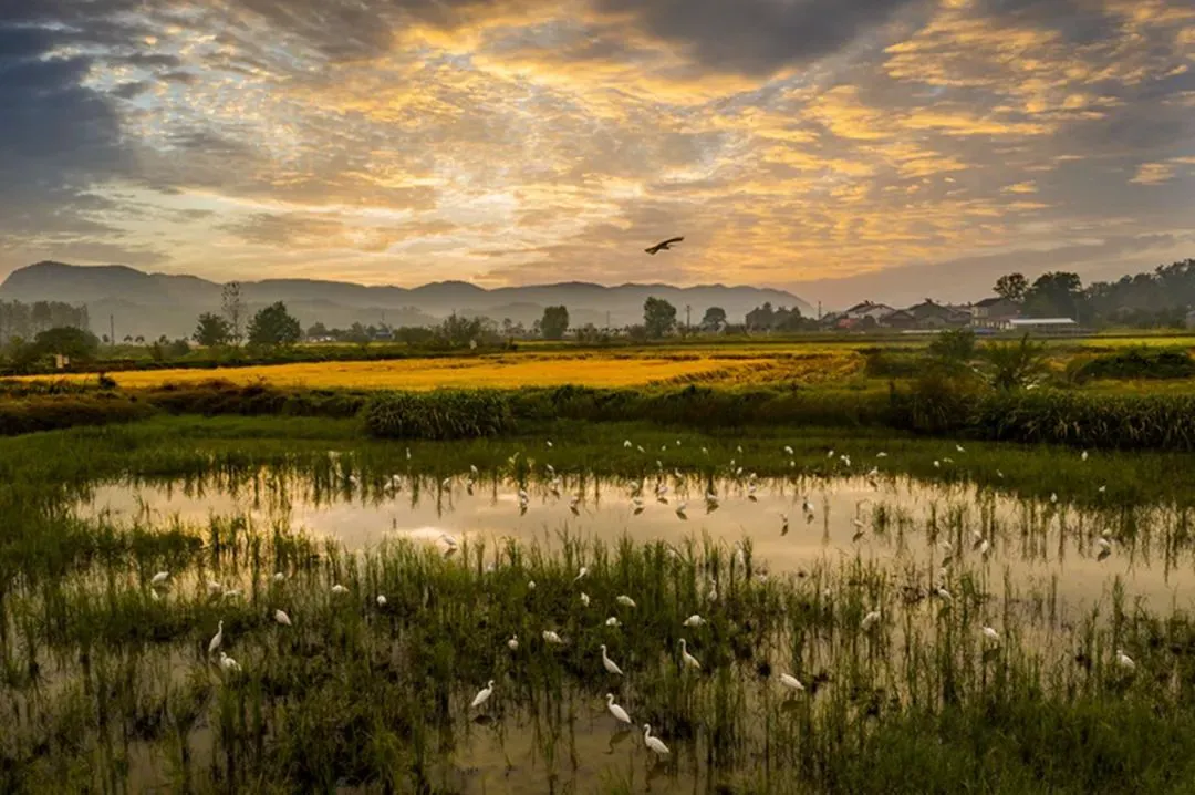 20241202_1733104618680473.jpg 222.jpg