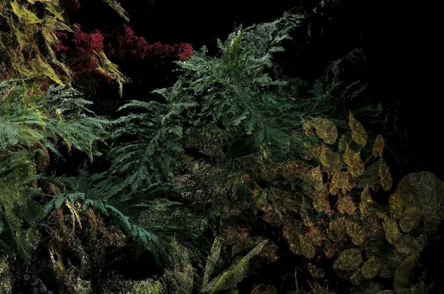 文字文稿17972 拷贝.jpg