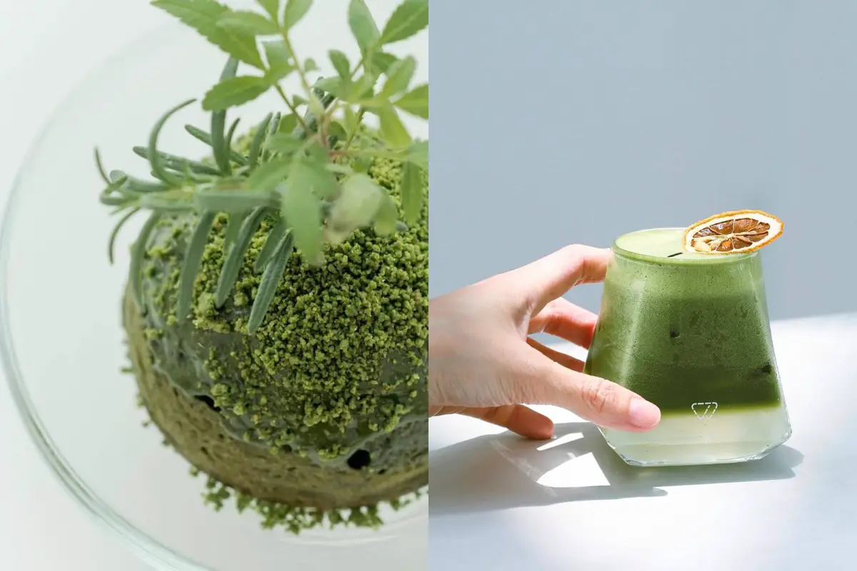 春室限定抹茶苔球，配上日本宇治青檸抹茶，是場多層次的抹茶饗宴。（圖/南美春室）