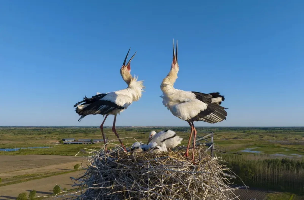 20241212_1733966282716190.jpg 12月的北京天清气朗1586 拷贝.jpg