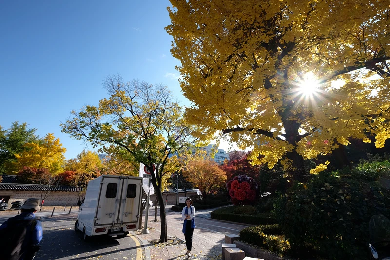 【首爾】德壽宮石牆路：韓國公認最美小路賞楓必去！門票＆免費韓