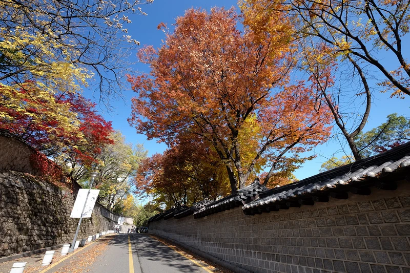 【首爾】德壽宮石牆路：韓國公認最美小路賞楓必去！門票＆免費韓