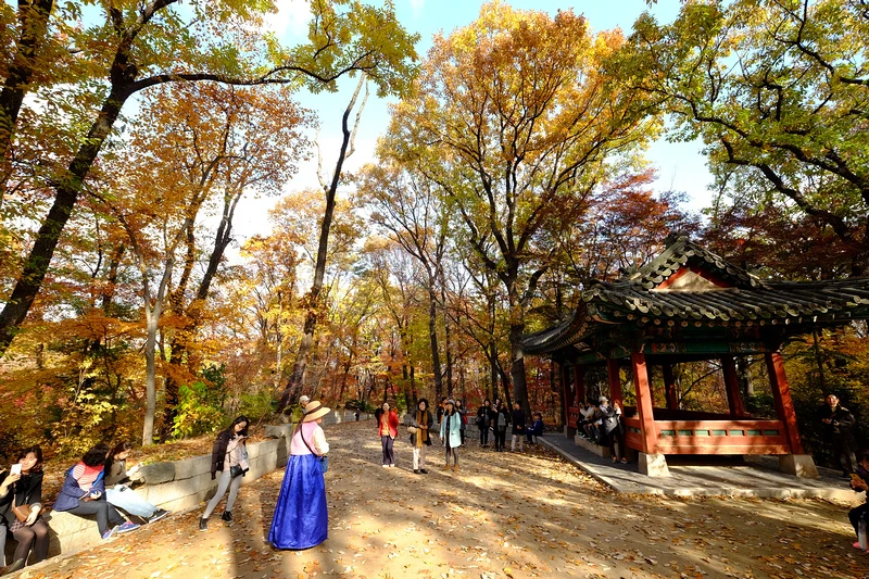 【韓國首爾】昌德宮秘苑預約＆門票韓服，紅葉漫天皇族後花園爆炸