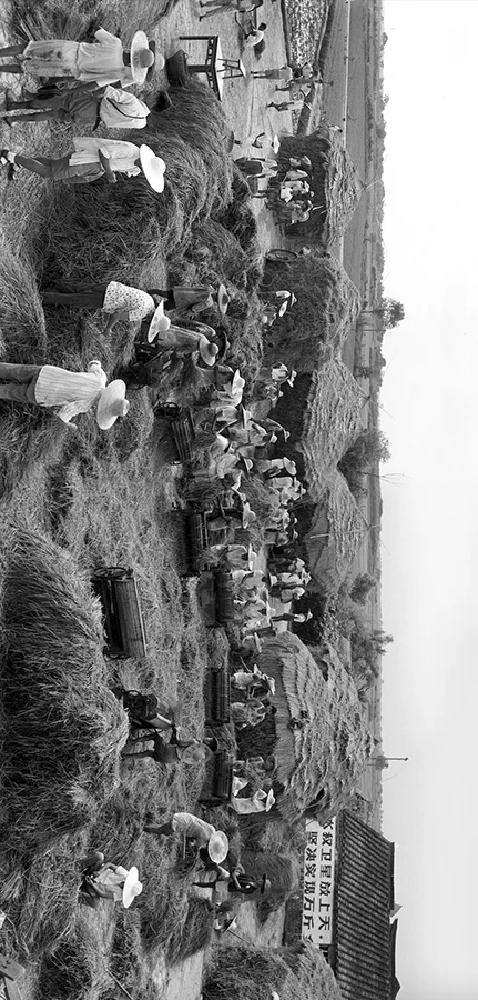 20240910_1725939911634059.jpg 作为新中国第一代女摄影师12 拷贝.jpg