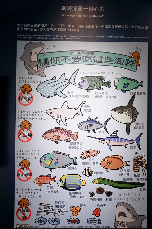 【澎湖】澎湖水族館：餵食秀超精彩！門票優惠＆海星觸摸池親子必