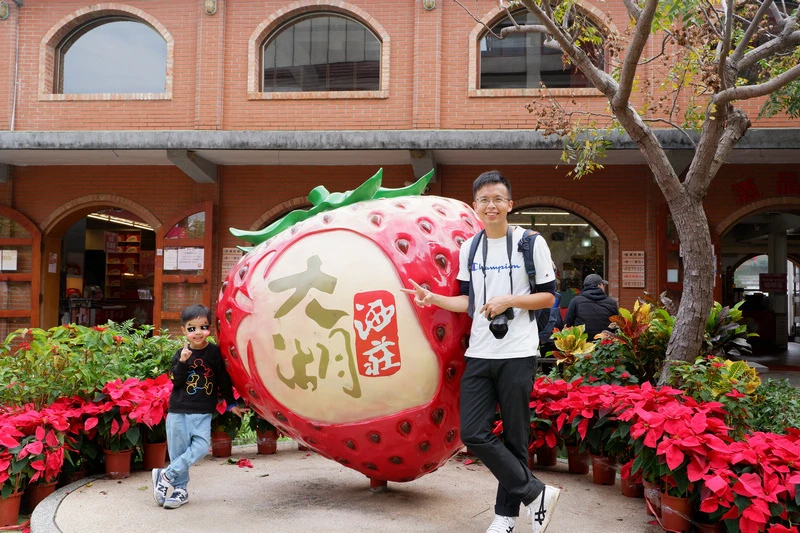 【苗栗】大湖酒莊＆草莓文化館：冰淇淋泡芙必買！免門票採草莓吃