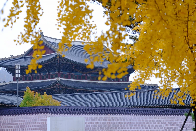 【首爾】景福宮光化門：韓國最大宮殿！韓服美食門票＆附近景點推