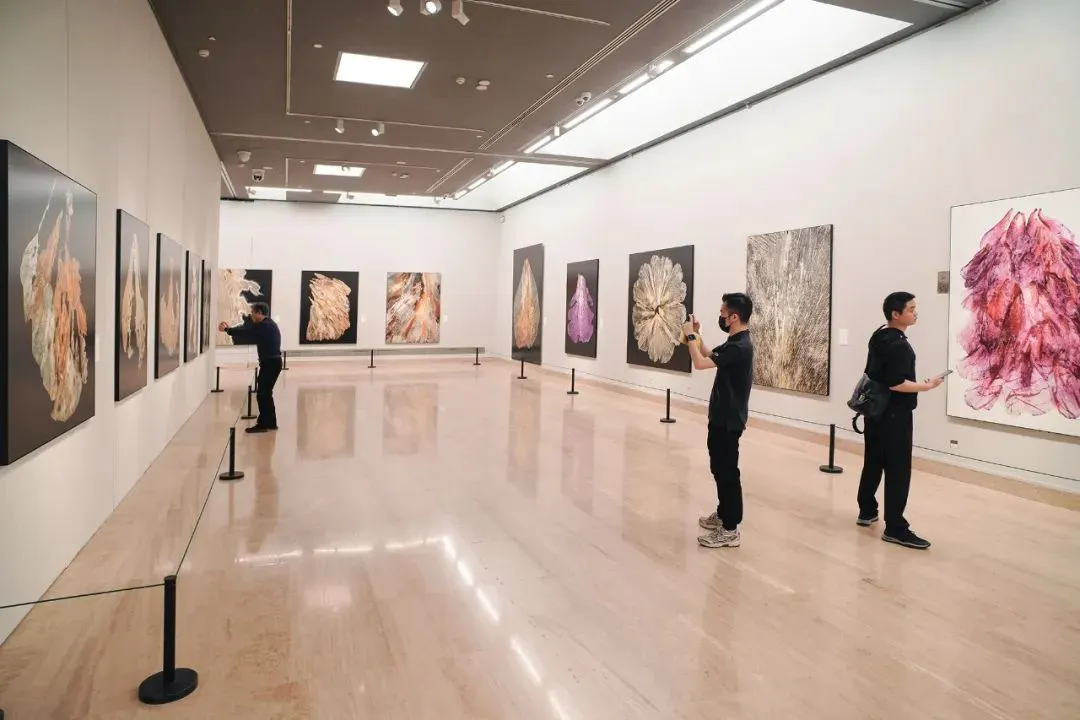 20240511_1715391793126198.jpg 6.jpg