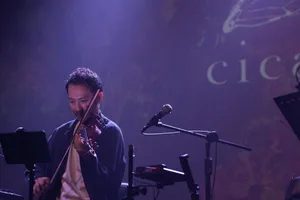 釋放身心壓力！5張療癒音樂專輯推薦：從水晶聲波琴到頌缽音療，科學實證的身心靈平衡之旅