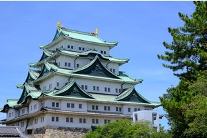 【2025名古屋城攻略】日本三大名城之一！天守閣、本丸御殿、櫻花重點整理