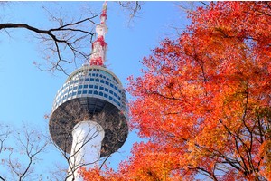 【2025首爾塔攻略】超浪漫韓劇夜景！愛情鎖、南山纜車＆交通門票彙整