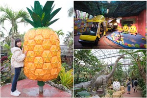 【沖繩】名護鳳梨園：逼真恐龍園區＆搭超萌鳳梨電動車冒險！親子超推薦