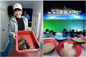 【澎湖夜釣小管推薦】夜釣小管技巧、小管季節時間、看煙火等好玩全介紹